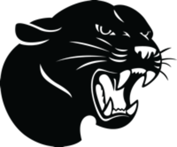 Graduated from High School