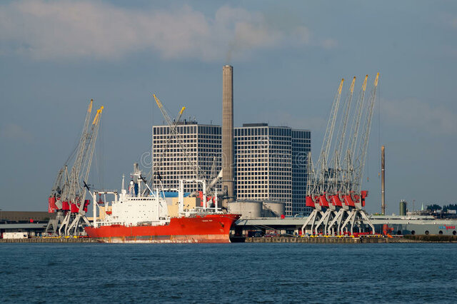 Driehaven y Merwehaven