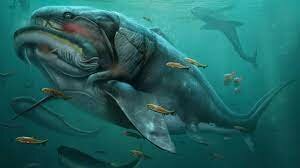 animales en los mares