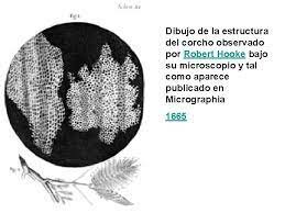 Robert Hooke