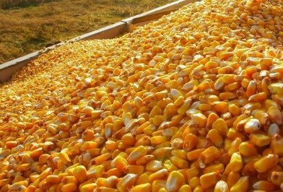 Agricultural Acts of 1950