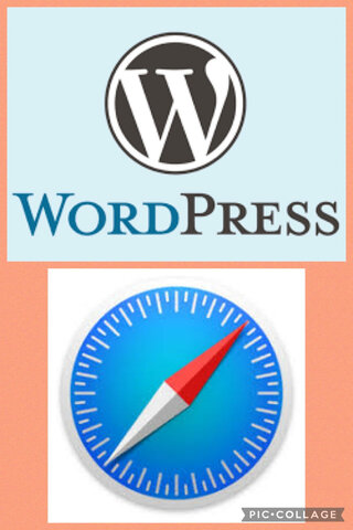 WORDPRESS, SAFARI