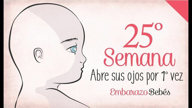 25 Semana