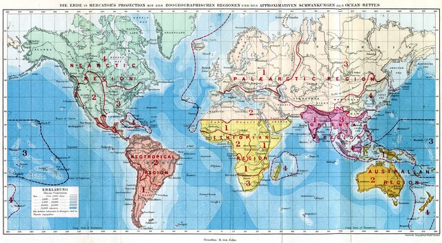 Primer análisis moderno de zoogeografía