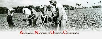 Asociación Nacional de Usuarios Campesinos (ANUC)