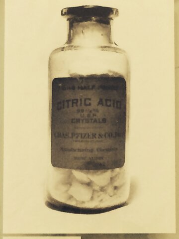 Producción Comercial del ácido cítrico