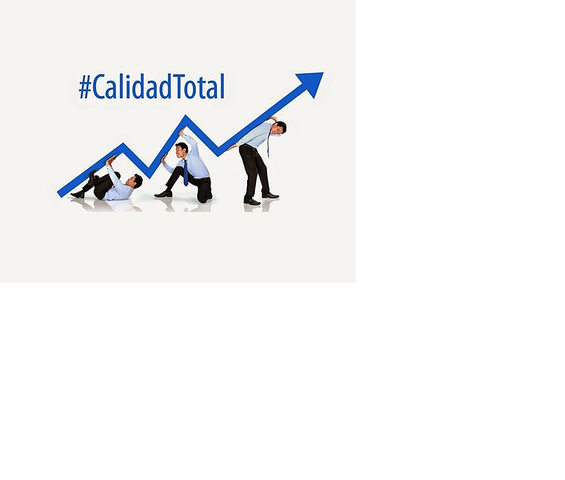 Control Total de Calidad
