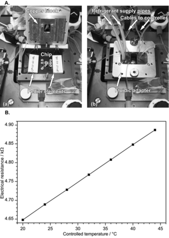 Construcción y operación de un biorreactor microfluídico.