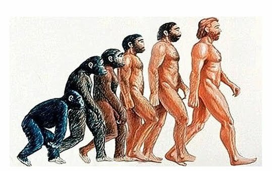 Aparició del primers homínids