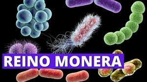Reino Mónera