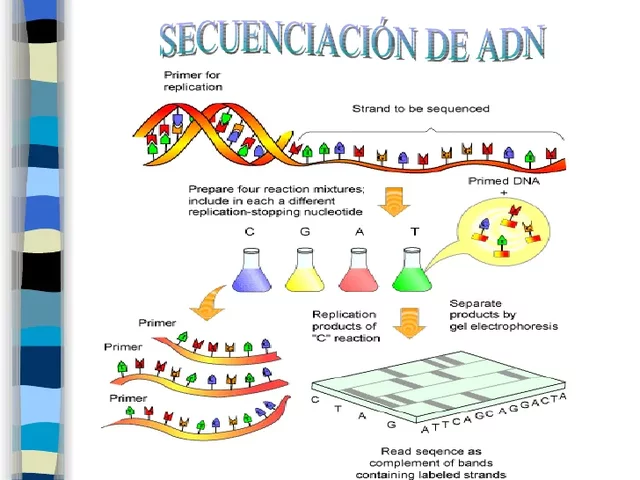 Método de secuenciado del ADN