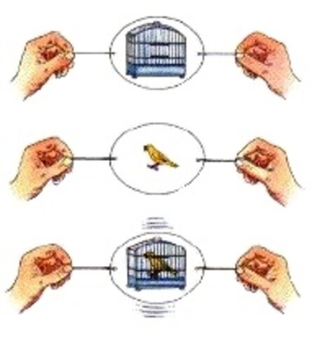 Invention of thaumatrope