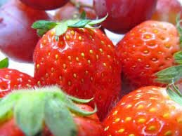 John Vollmer's Organic Strawberries