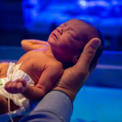 Timeline: ETAPAS DEL CICLO VITAL