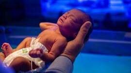 Timeline: ETAPAS DEL CICLO VITAL