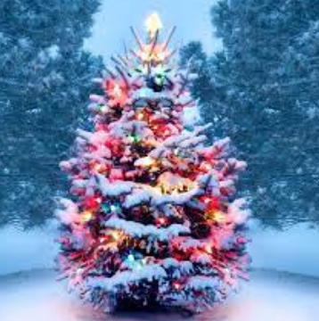 Putting the Christmas tree up