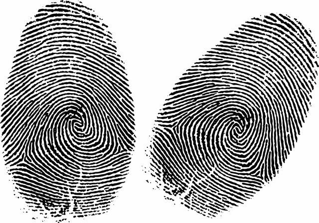 Fingerprints found to be unique