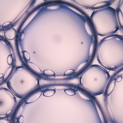 Timeline: Acontecimientos en torno al descubrimiento de la célula