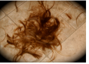 When Carmencita died