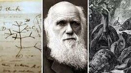 Timeline: Biografía de Charles Darwin