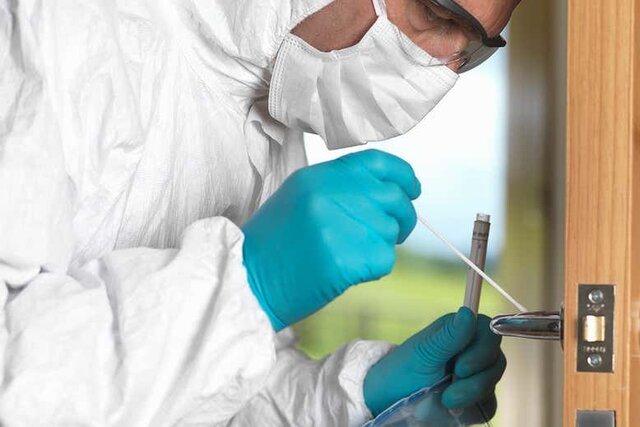 Bacteria could identify month old stains at crime scenes