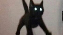 Timeline: L'histoire de moi