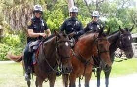 Horses