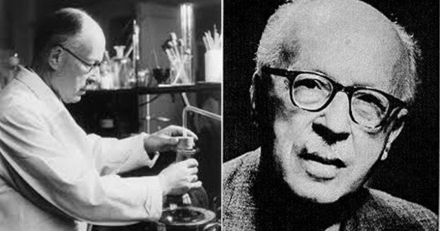 Hormonas en el colesterol.