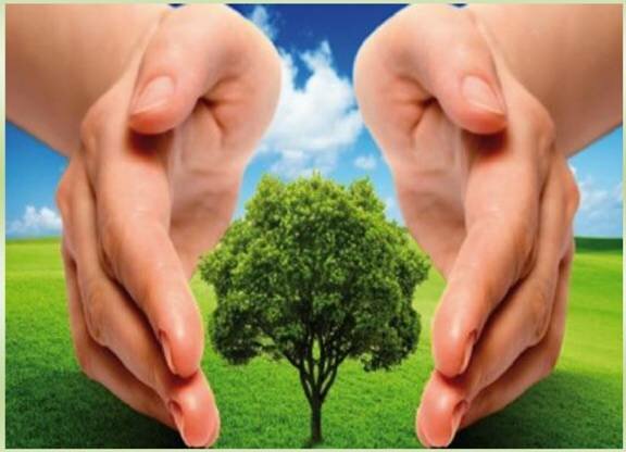 Educación para un futuro sostenible