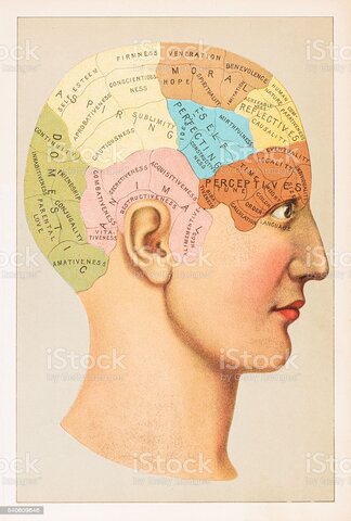 Desenvolvimento da Frenologia