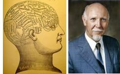 Teoría Factorial (Raymond Cattell)