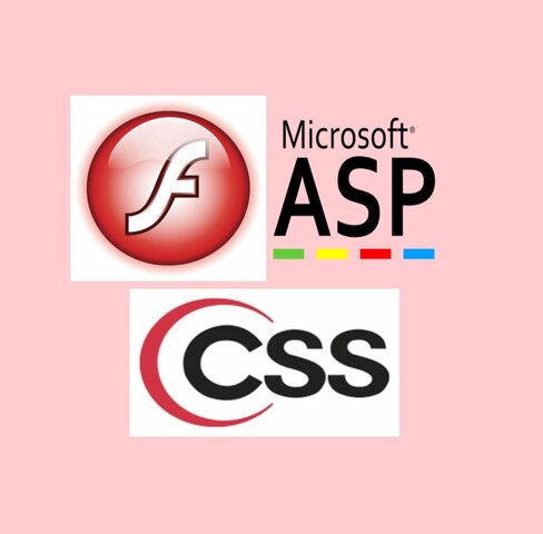 FLASH, ASP MICROSOFT, CSS