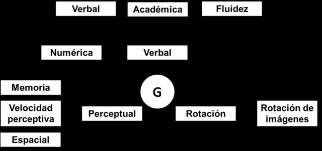 Teoría Verbal-Perceptual-Rotación de imágenes (VPR)