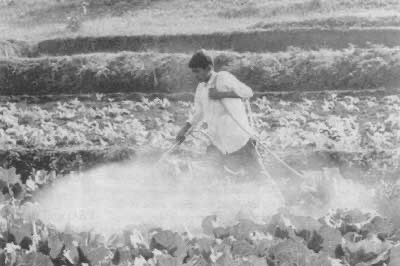 The green revolution