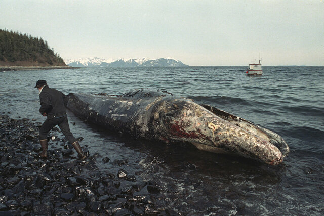 Exxon Valdez Oil Spill