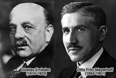 Gustav Embden y Otto Meyerhof