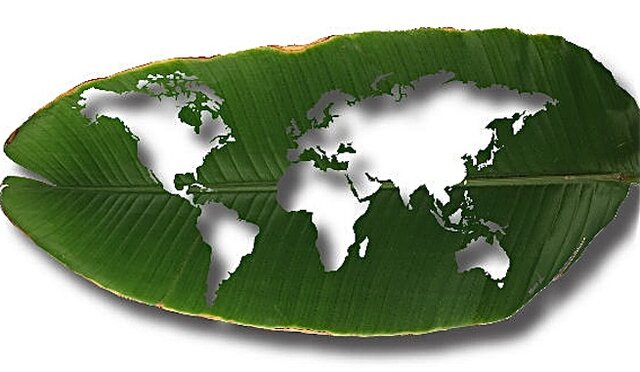 Conferencia del cambio climático de la ONU en el 2008