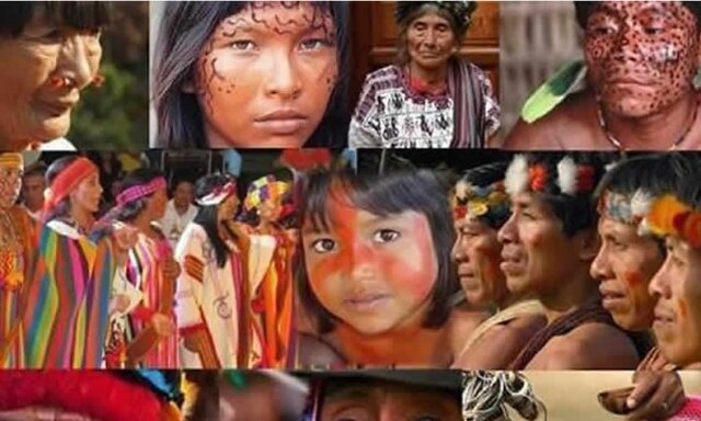 Ley 115 1994. articulo 13