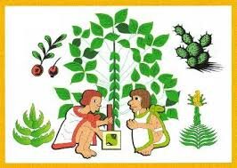 Primer inventario de plantas.