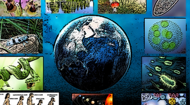 Timeline: Evolución histórica de las Ciencias Naturales.