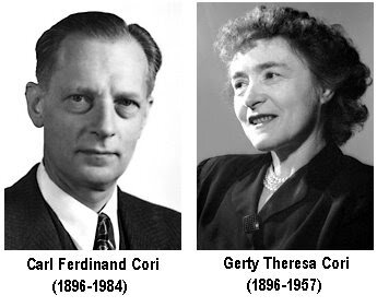 Gerty Cori, Carl Cori, y Bernardo Houssay