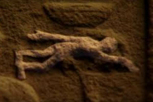 Primeras referencias