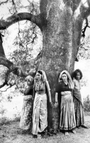 Movimiento Chipko