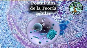 postilados añadidos a la teoría 1902