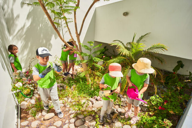 Bandura: El pensamiento humano constituye un poderoso instrumento para la comprensión del entorno