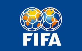 Fundación de FIFA Francia