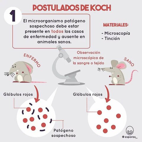 Postulados de Koch