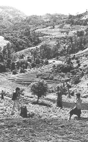 1983 Plan de Desarrollo Económico