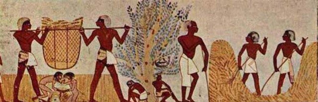 Transformaciones químicas (fermentación)