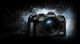 Timeline: Conquista de Cortés y Nuño Beltrán